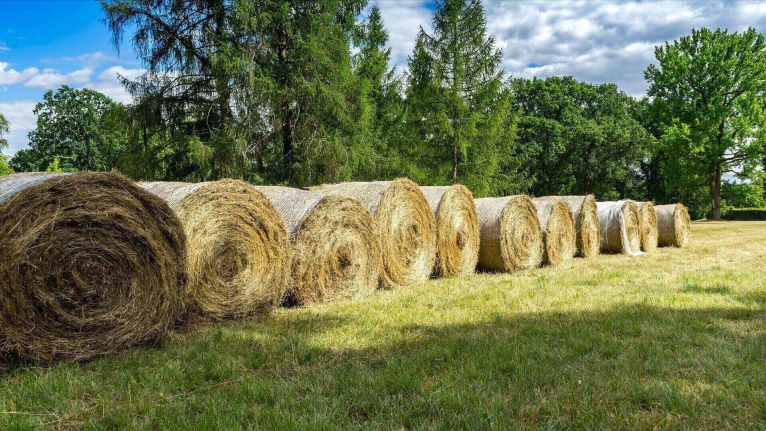 Have you got the Tools to make Hay while the Sun Shines? image