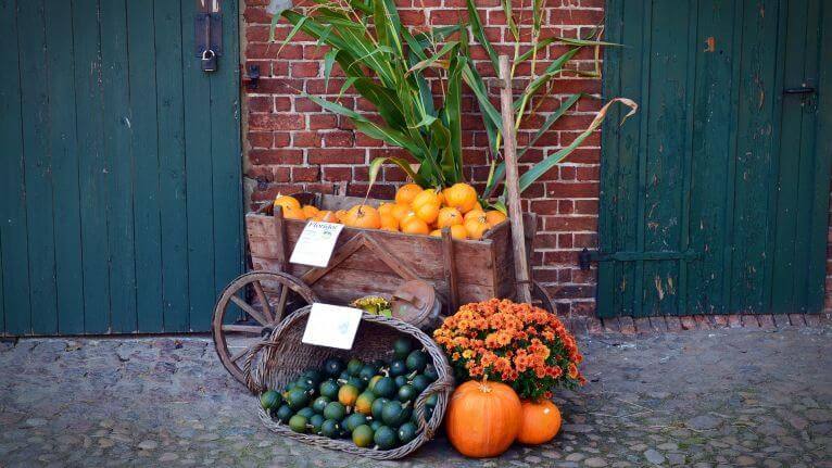 For the Hobby Farmer! image