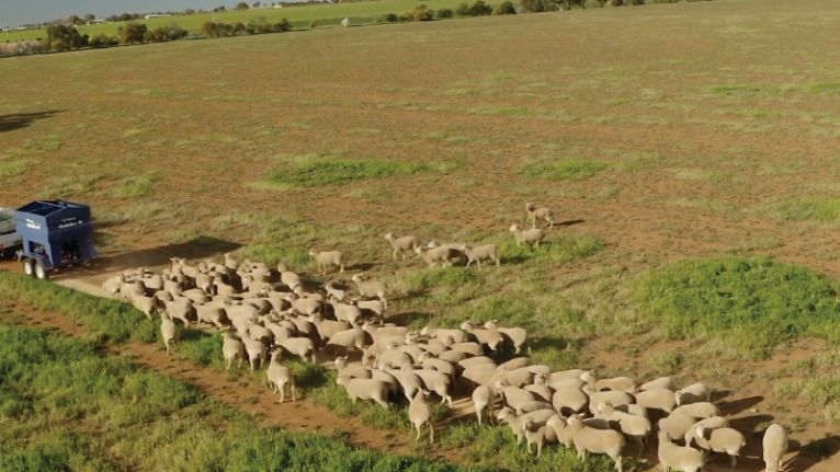 Feedout Trailers - Time and $ saving machines image